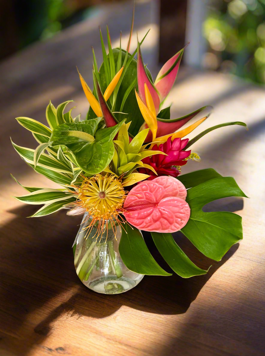 Modest Tropical Arrangement